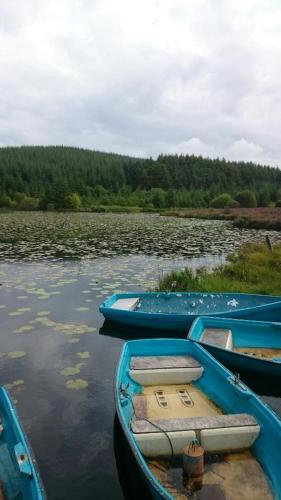HV66 - FREE WIFI-3 Bedrooms Indoor Pool Loch Views Fishing Golf Riding Shooting Water Sports 15 Mins Drive To Beaches PASSES NOT INCLUDED Most Activities Will Not Be Available Out Of Season Please Check Before Booking, Newton Stewart (Foto 6)