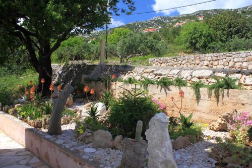 Apartments and rooms by the sea Zavala, Hvar - 8784