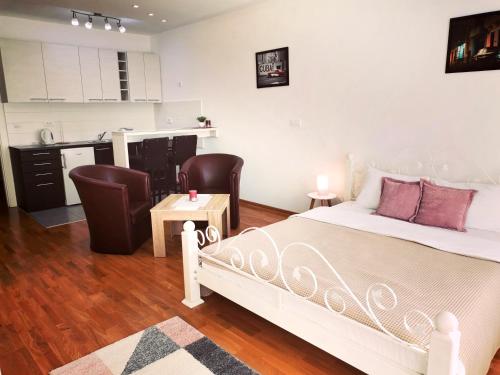 VIKONT studio apartment with parking 5 eur per day