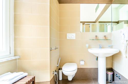 El Dorado Colosseum - image 2