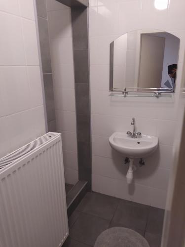 Bathroom, Pingpong Apartman in Soltvadkert