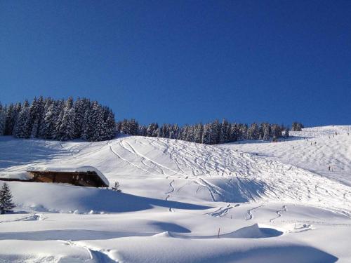Wallegg Lodge - Alpine Premium Chalet - Ski In-Ski Out - Saalbach Hinterglemm