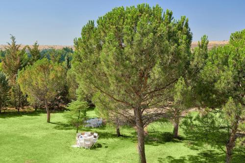 Fontecruz Ávila