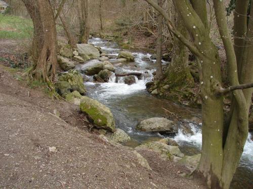 GRANDE MAISON COZY, SUD, 15 MIN SPA FRANCORCHAMPS