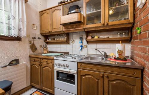 virtuve, Pet Friendly Home In Krivi Put With Wifi in Krivi Put