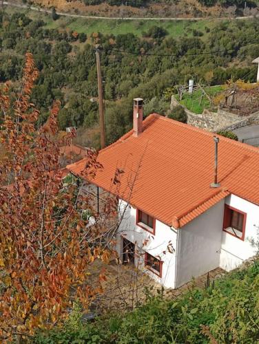 Magnolia Traditional Stone House in Vamvakou