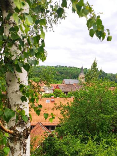 Ferienhaus Blaue Blume mit 11 kW Ladestation, Kamin, Terrasse, eingezäuntem Garten, Sauna, WLAN, Netflix, 2 Hunde willkommen!