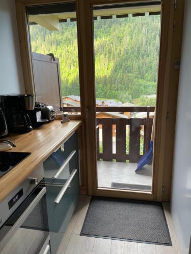 Chatel - appartement 2 pièces rénové - 4 personnes - proche centre - ménage inclus, Châtel (photo 8)