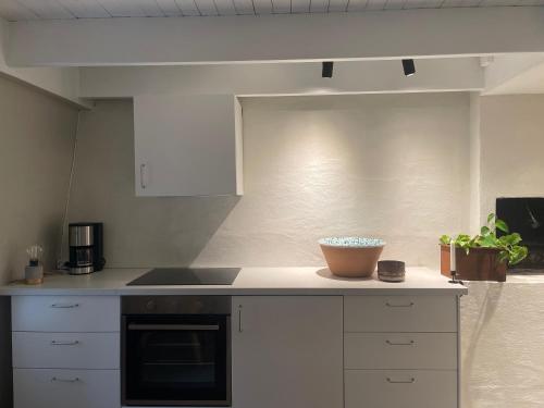 Two Bedroom, Newly Renovated, Garden Apartment, Gärsnäs Österlen