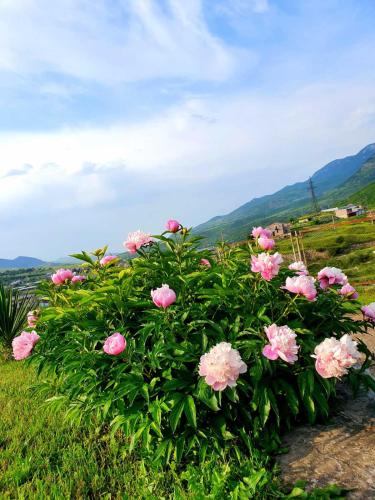 Guest house Ijevan's Garden