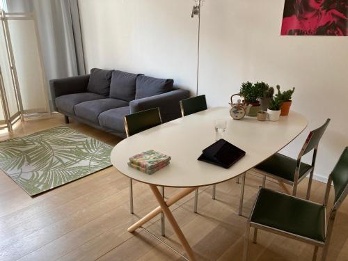Renovated apartment with terrace Ghent South - Location saisonnière - Gand