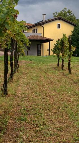 Small house in Vipava valley