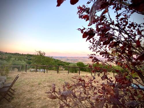 Agriturismo Podere Casella