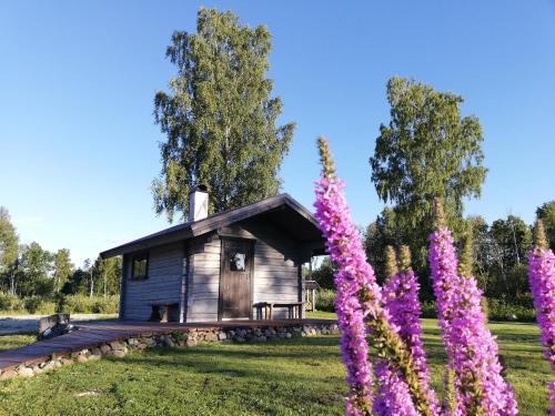 Mõiskla saun ja puhkemaja - Camping - Haapsalu