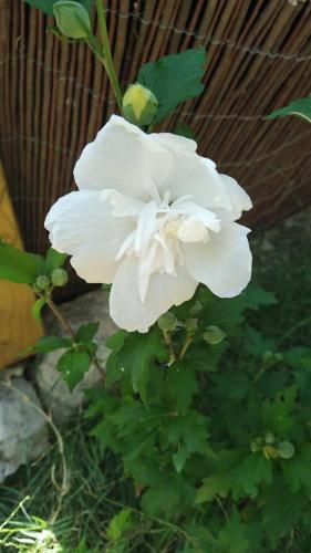 Le clos des olivettes 3
