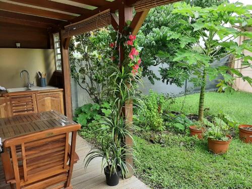 Studio Perle de Zanzibar Trois-Ilets Studio Perle de Zanzibar Trois-Ilets