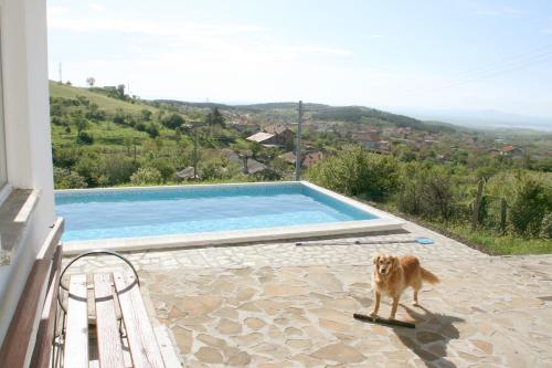 Seadmed, Villa Sanaan in Sarafovo