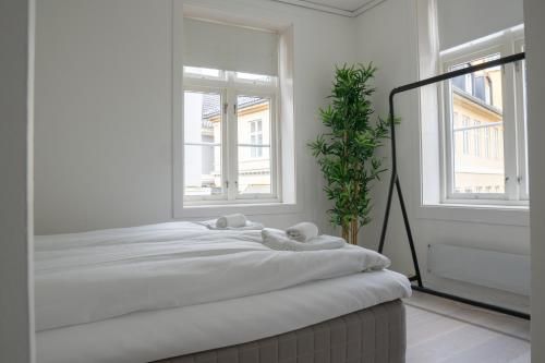 The Apartments - Strandgaten