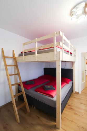 CozyNite Premium Apartment Schönbrunn 1, Vídeň (fotografie 7)