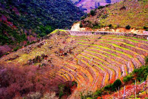 Castelodobispo - Ourense