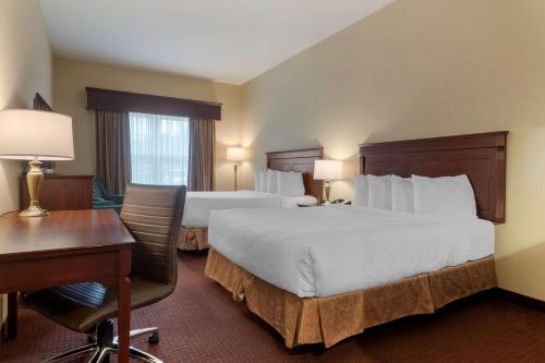 Best Western Plus Fredericton Hotel & Suites