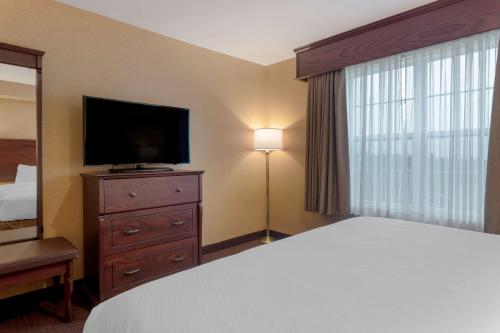 Best Western Plus Fredericton Hotel & Suites