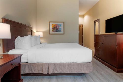 Best Western Plus Fredericton Hotel & Suites