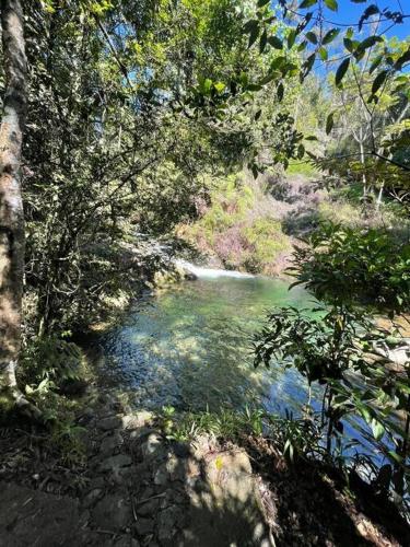 La Colmena del Arroyazo La Colmena del Arroyazo