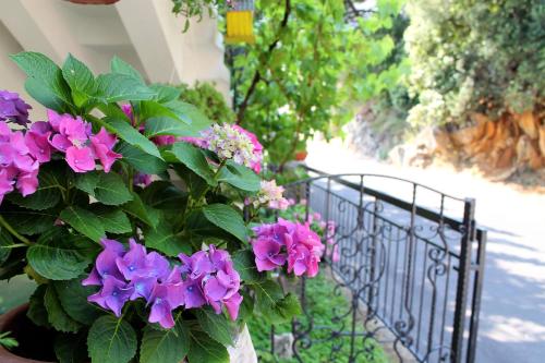 Apartments by the sea Zivogosce - Porat Makarska - 4878 - image 14