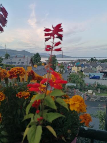 Carlingford Mountain and Sea Views