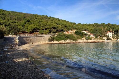 Apartments by the sea Milna, Vis - 8944