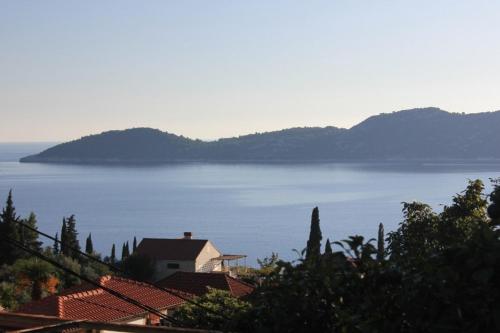Apartments with WiFi Trsteno Dubrovnik - 8738 - image 14