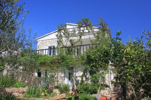  Apartments by the sea Necujam, Solta - 8691 in Nečujam