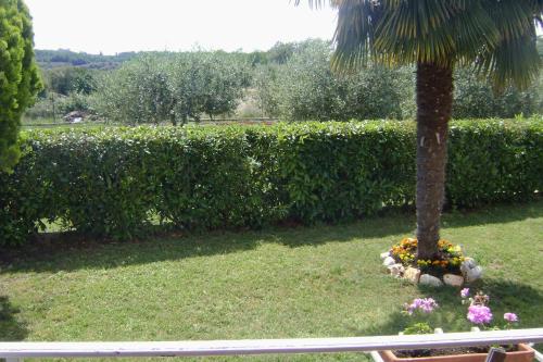 Family friendly apartments with a swimming pool Babici Umag - 2531 - image 9