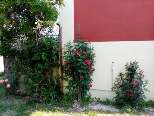 Casa Flora in Bigliolo