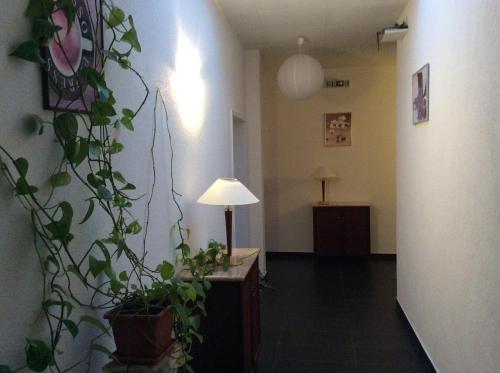 設施, Hotel Feiertag in 佛茨海姆