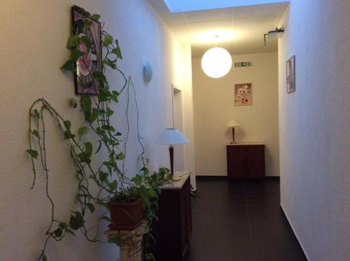 設施, Hotel Feiertag in 佛茨海姆