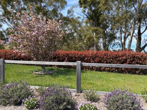 Farm Stay Home, Pet Friendly, in Southern Highlands