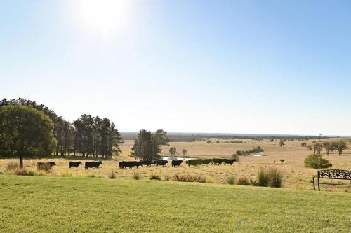 Luxury Modern Farm Stay Home in Southern Highlands