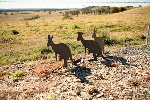 Luxury Modern Farm Stay Home in Southern Highlands