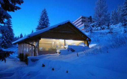 Apartmán Meluzína (Apartman Meluzina) in Staré Hamry