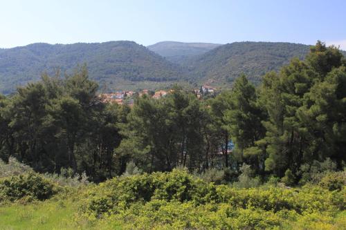 Apartments with a parking space Stari Grad Hvar - 8686 - image 13
