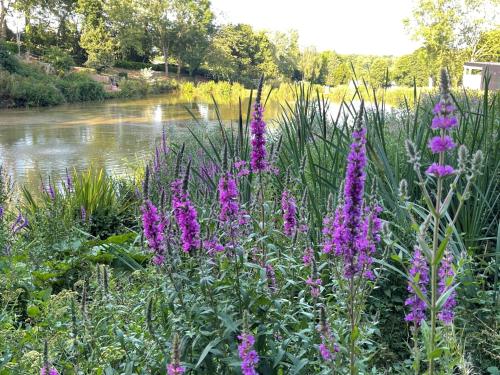 Oak Lodge, South View Lodges, Exeter