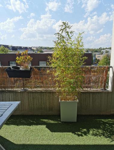 ระเบียง/ชานเรือน, Appart T1bis Malbosc in โอเชี่ยนฟรอนท์