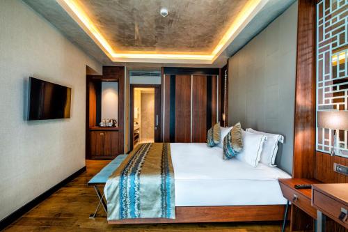 Arise Hotel Golden Horn, Istanbul (photo 4)