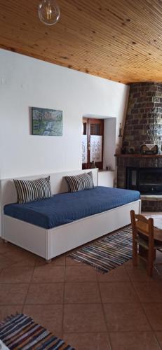 Magnolia Traditional Stone House in Vamvakou in 華爾維薩拉哥尼亞斯