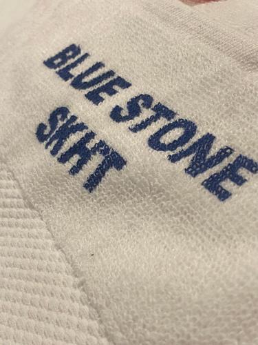 Instalações, Hotel Bluestone in Srikalahasti