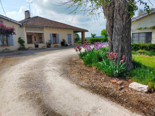 Gîte Au Tranquillou - Apartment - Albias