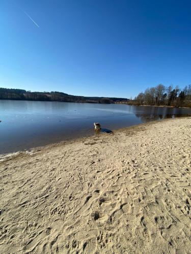 пляж, Apartmán Kuba (Apartman Kuba) in Фримбурк