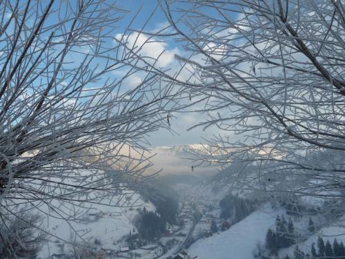Ranger Chalet - image 12
